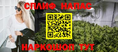 индика Будённовск
