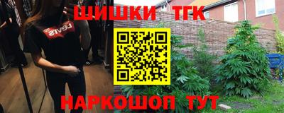 индика Будённовск