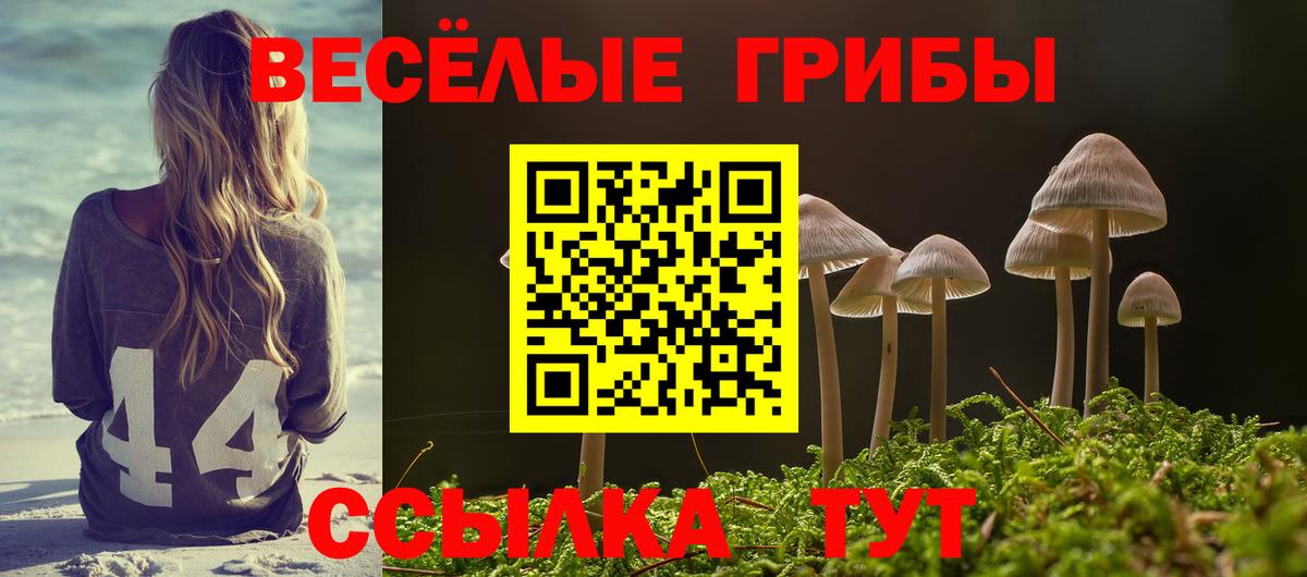 Псилоцибиновые грибы Psilocybine cubensis Ноябрьск